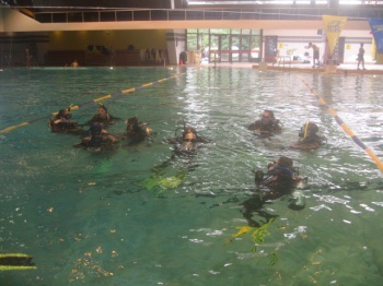 Diving Training by Ocean Quest Water Sports