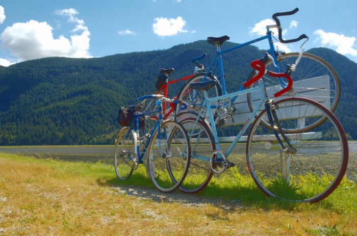 Pitt Meadows Marshes by Pete
