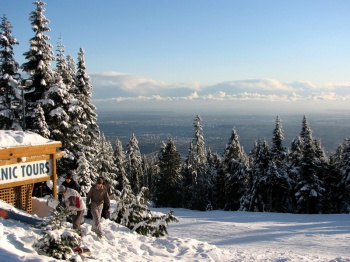 Grouse Mountain by Andrea Schaffer