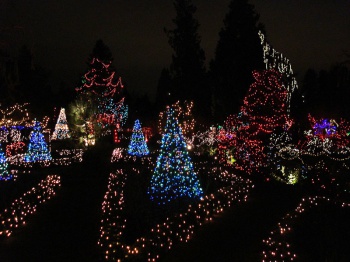 Van Dusen Festival of Lights by JamesZ Flickr
