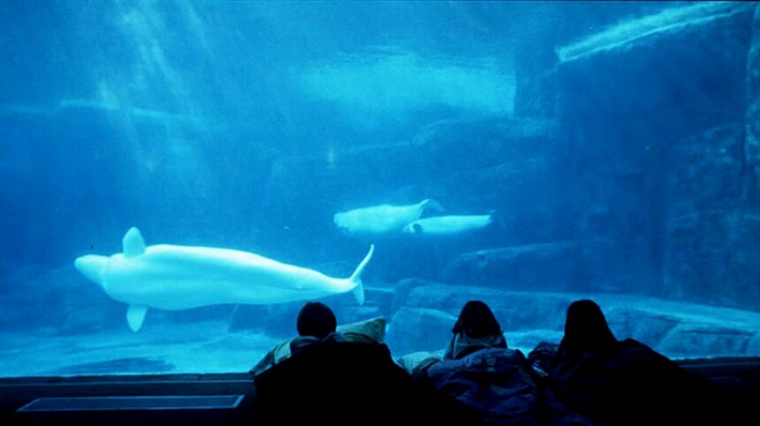 New Years Eve Sleepover