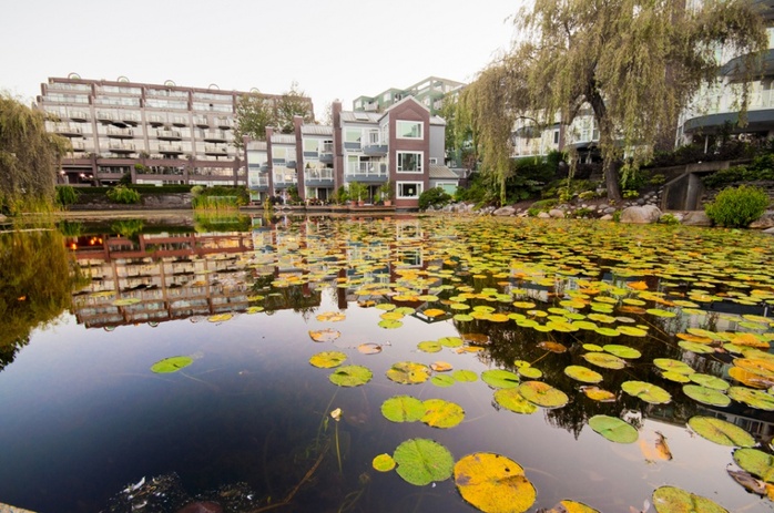 Granville Island residence buildings near pond