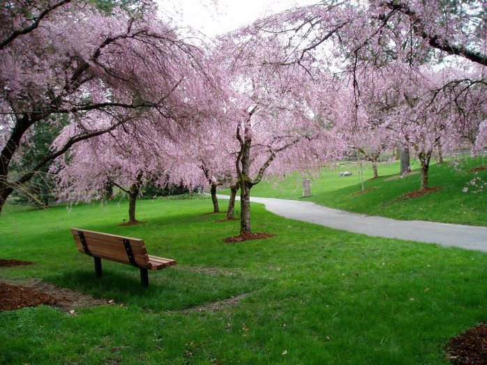 VanDusen Botanical Garden