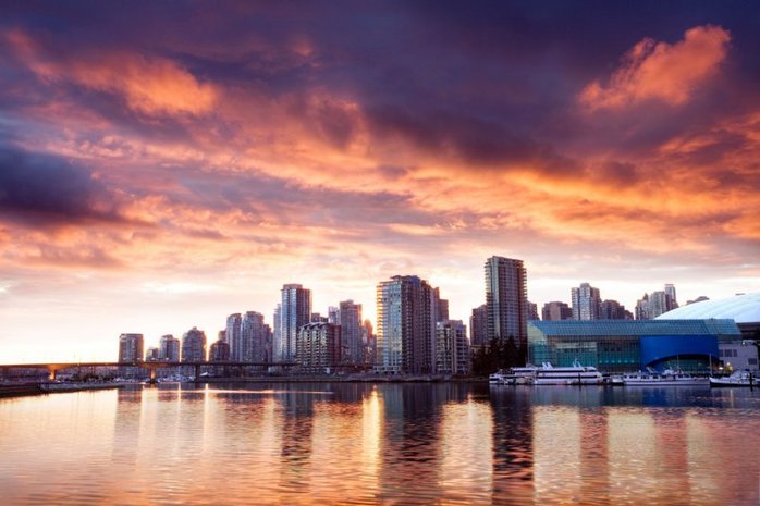 living skyline small