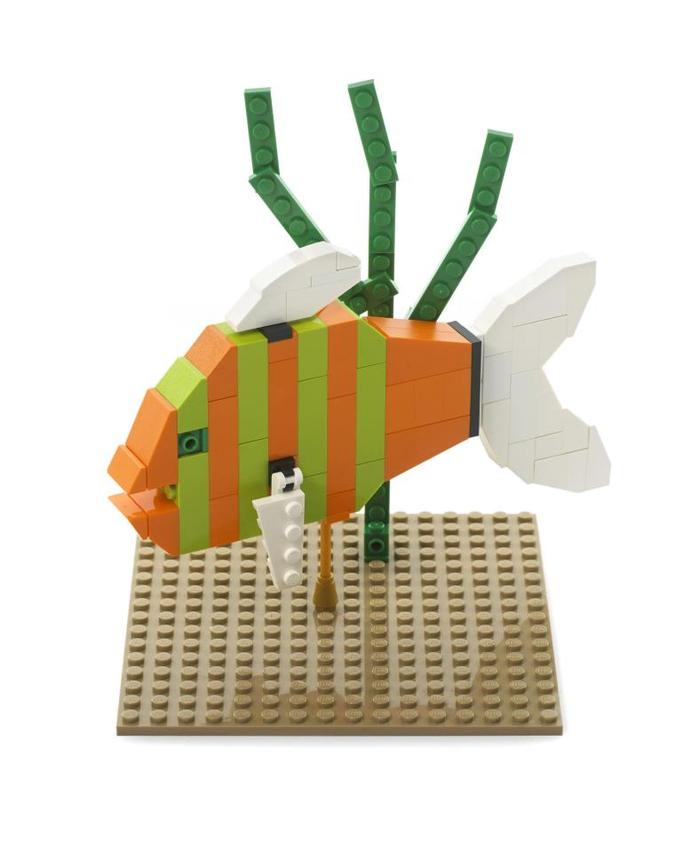 Fish lego