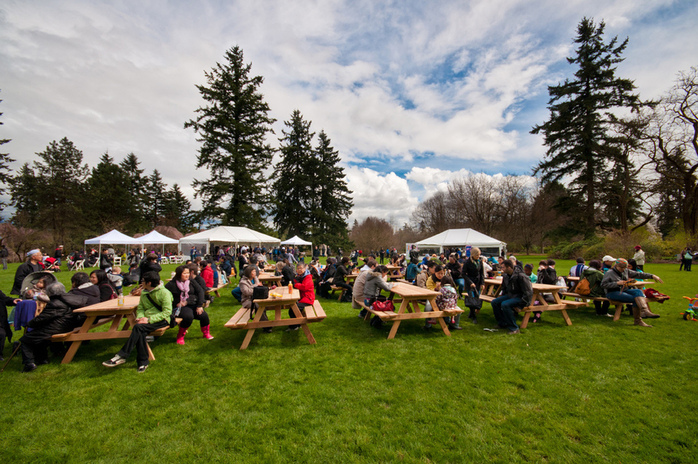 Sakura days at Stanley Park Vancouver