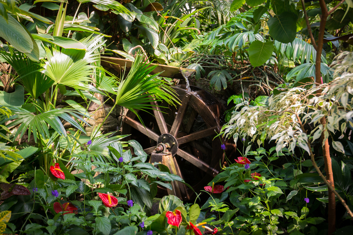 Little Windmill in Conservatory
