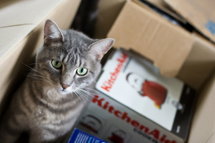 Moving by Marco Varisco