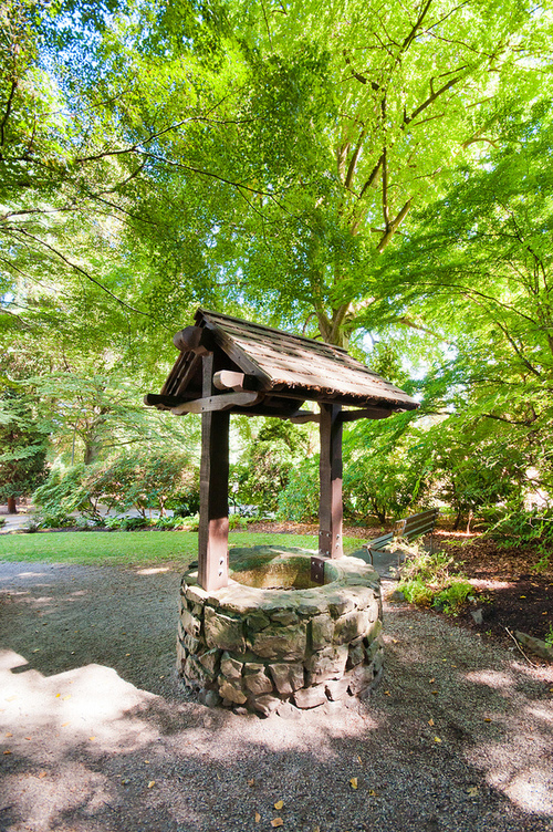 Stanley Park Gardens Well
