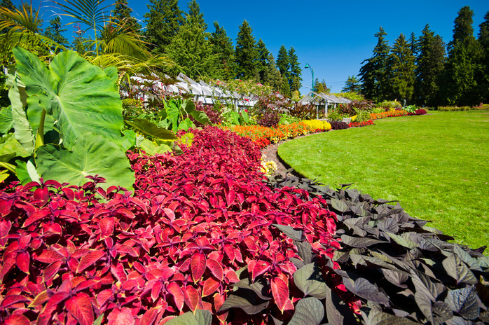 Stanley Park Gardens Flowers