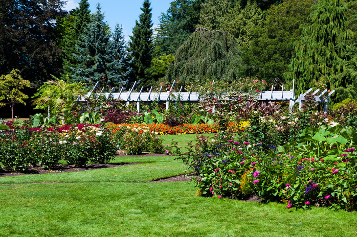 Stanley Park Gardens