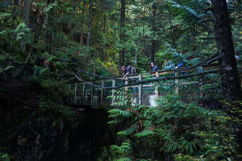 Lynn Valley Pipe Bridge