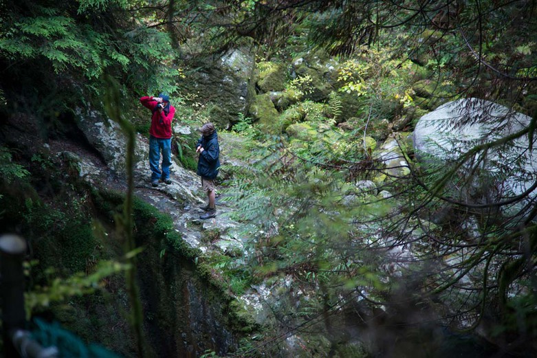 View From Lynn Canyon Suspension Bridge