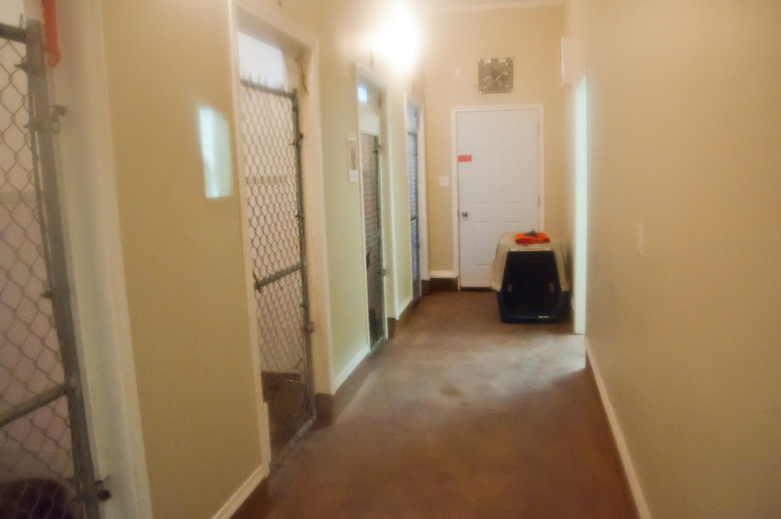 Interior of Sinburg Kennels