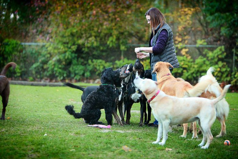Tracy Owner at Ruff Stuff With Dogs at Their Squamish Retreat