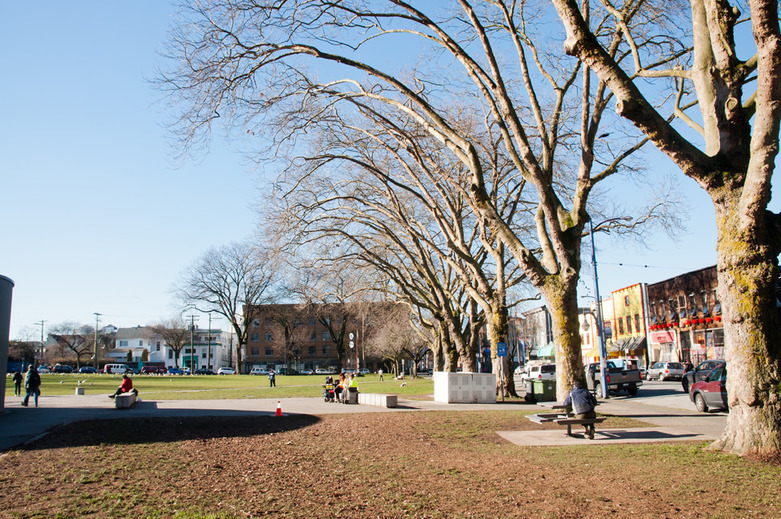 Oppenheimer Park Strathcona