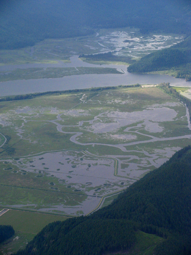 Flooding In Vancouver By Ryan