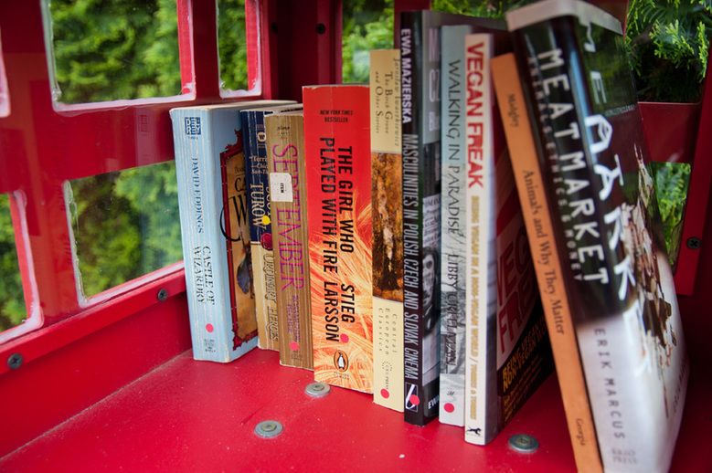 Little Free Library  2305 McLean Dr  Vancouver Detail