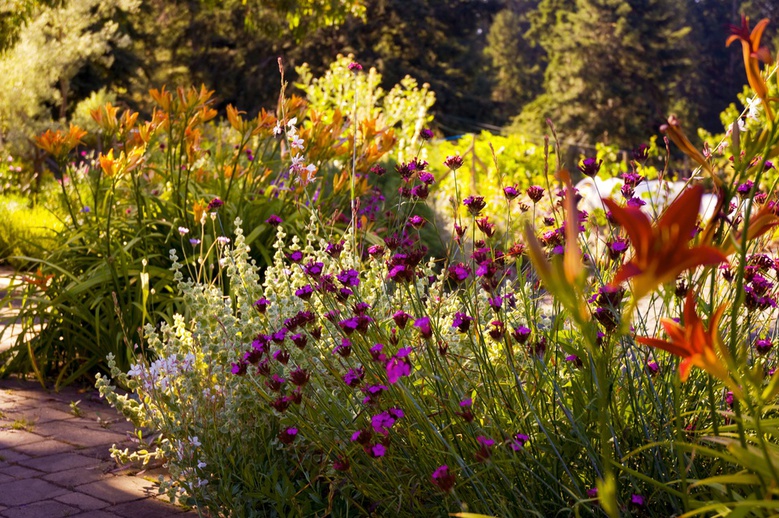 A Mediterranean Garden by jayscratch
