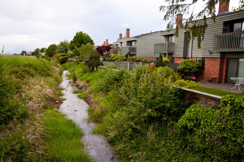 Houses West Dyke Trail