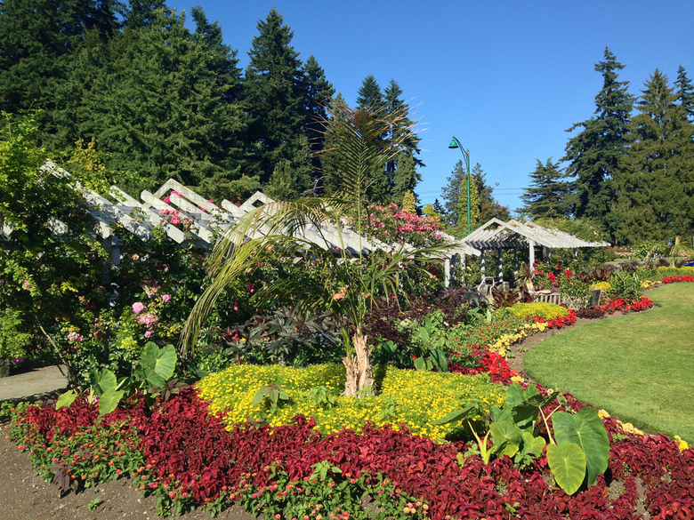 Stanley Park Gardens by Kyle Pearce