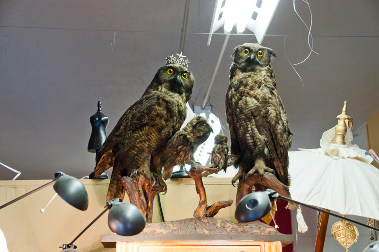 12 Bizarre combinations