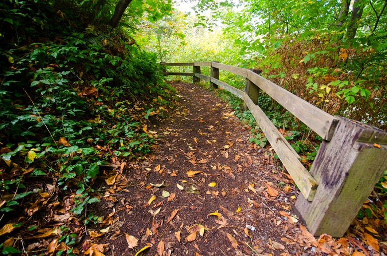 4707 Belmont neighborhood trails that leads down to beach area