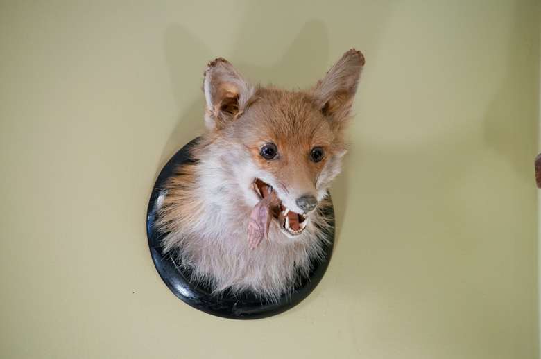 6 Would you buy this one