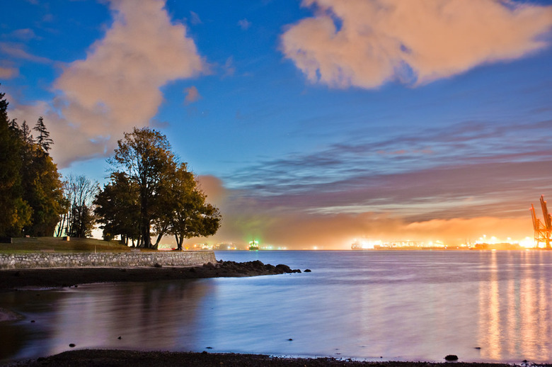 10a Foggy morning in Stanley Park
