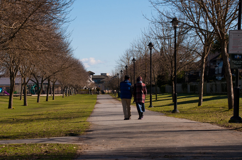Rural Park Terra Nova 1
