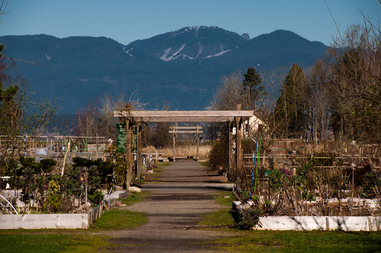 Rural Park Terra Nova Community Garden 1