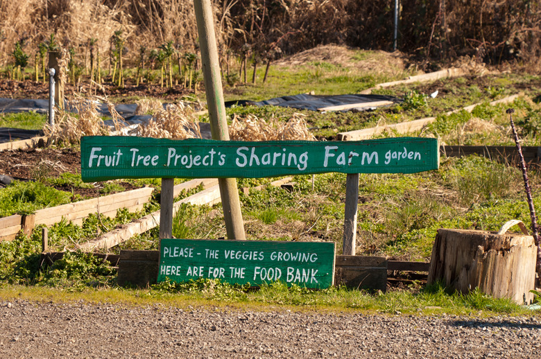 Rural Park Terra Nova Fruit Tree Garden