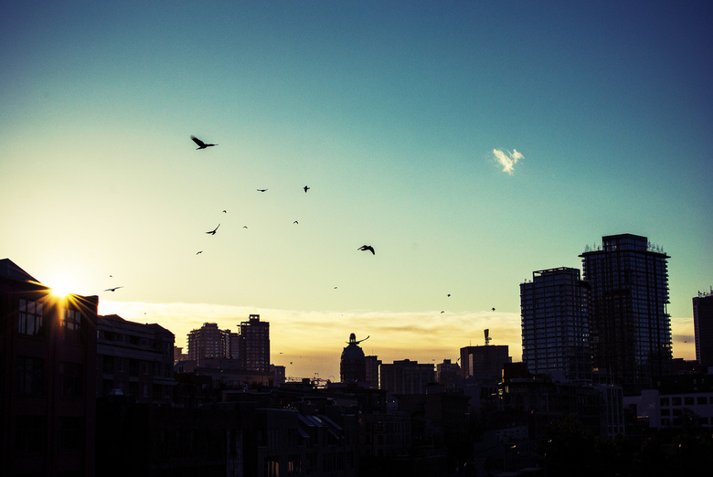 Vancouver by Gavin Craigie