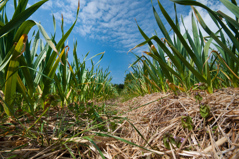 1 Come and discover the secrets behind the foods you eat