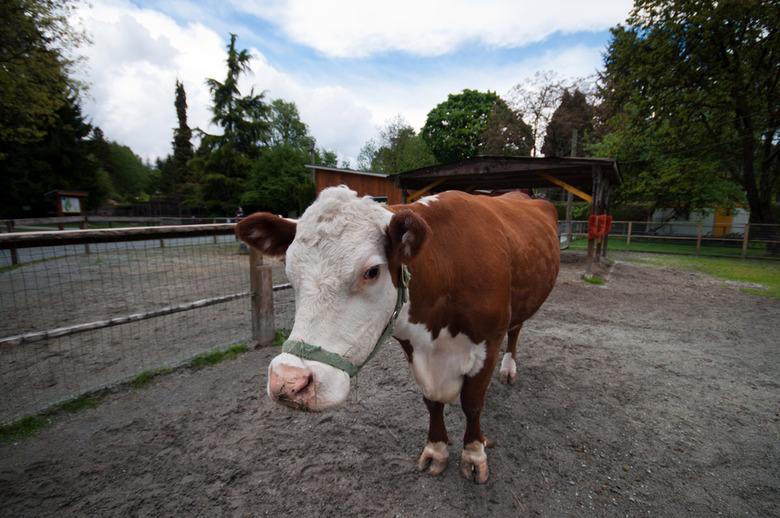 2 Visitors will have a chance to meet some new farm friends