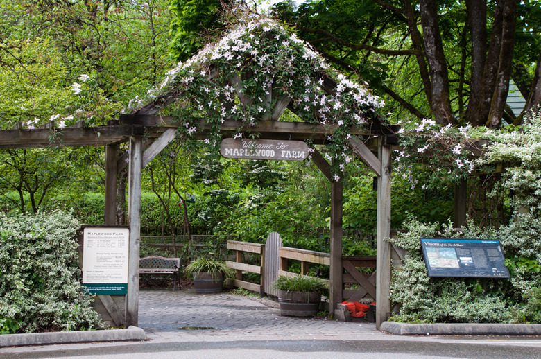 3 Welcome to Maplewood Farm