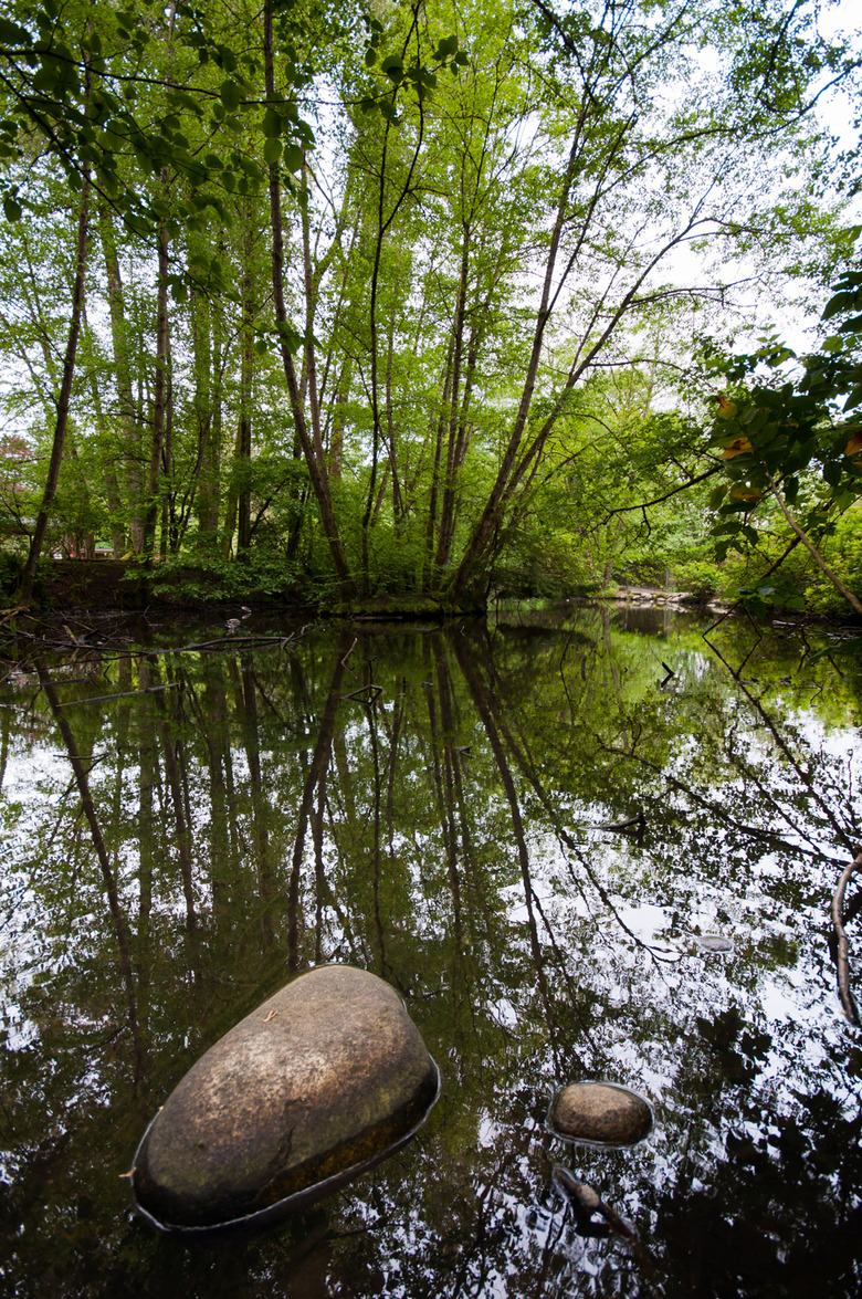5 Maplewood Farm Sceneries