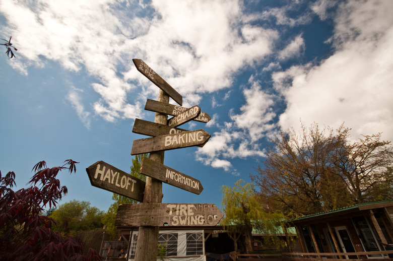 5 The farm offers many activities