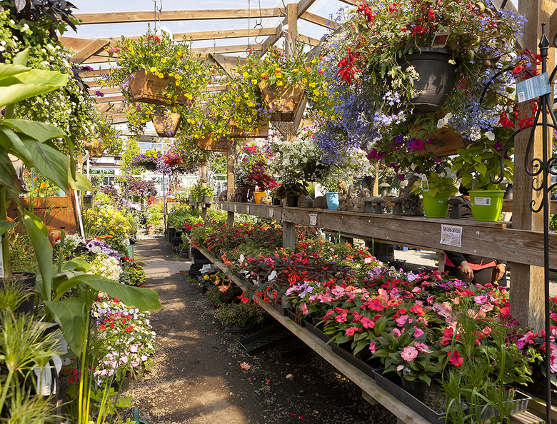 15 Prickly Pear Garden Centre2