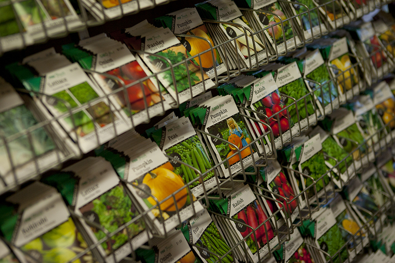 15 Prickly Pear Garden Centre3