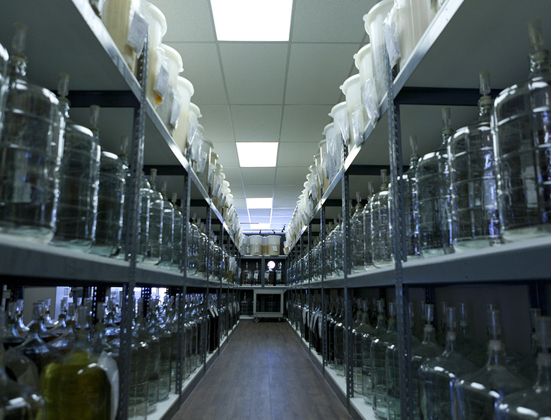 17 Steveston WineMakers4