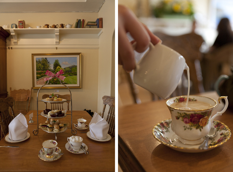 Come and enjoy your cup