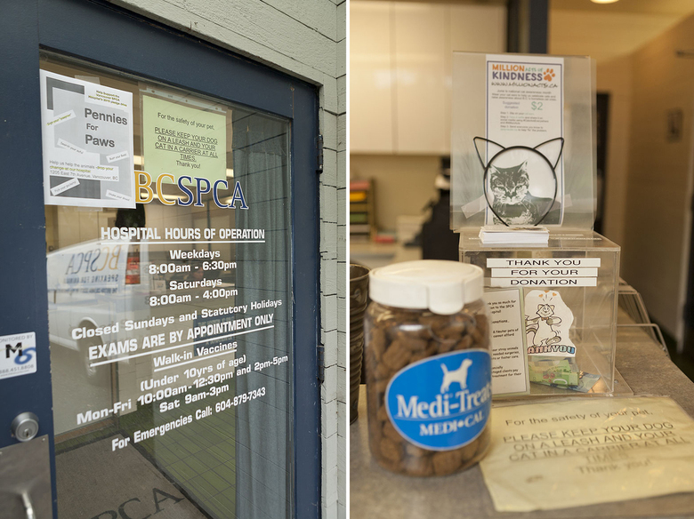2 BC SPCA