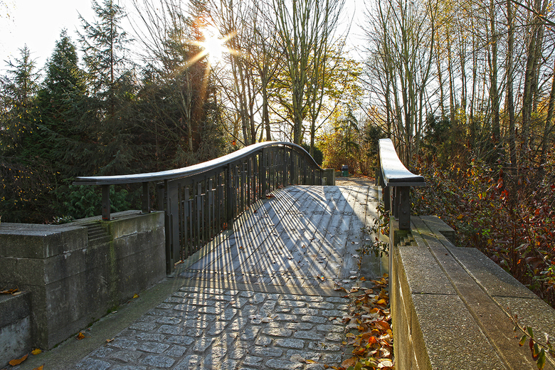 inside the hastings park 1