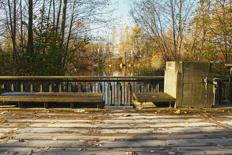 inside the hastings park 2