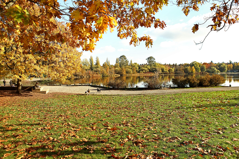 inside the john hendry park 2