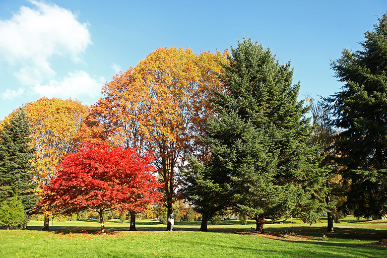 inside the john hendry park 3