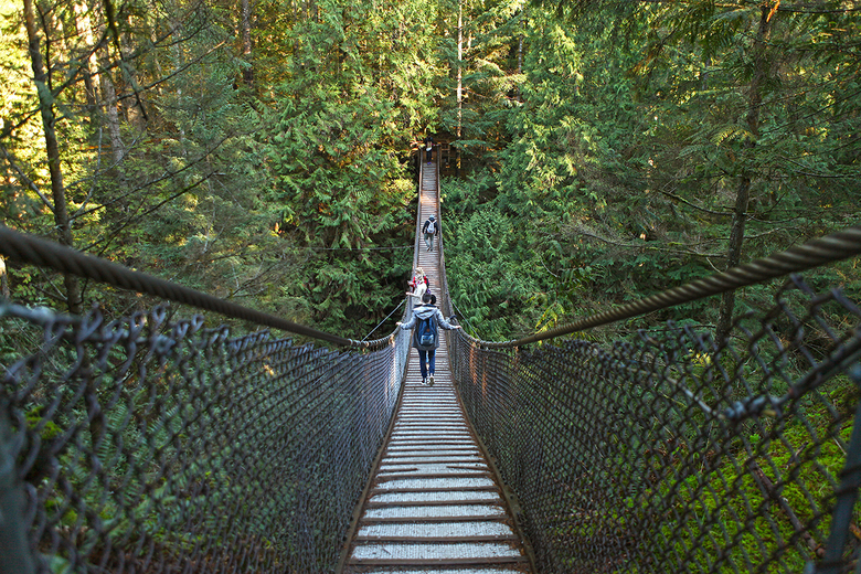 suspension bridge