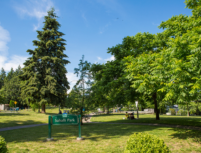 3 Sahalli Park perfect for a picnic or viewing the neighborhood