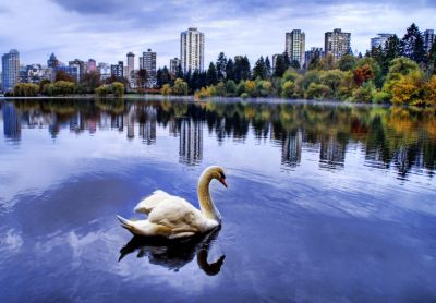 vancouver stanley park morning lagoon